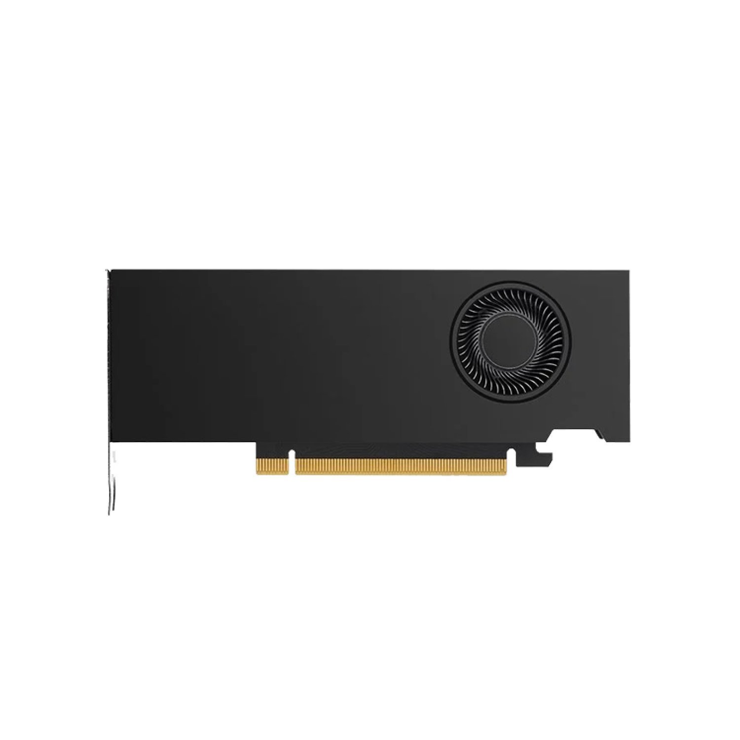 HP NVIDIA RTX A2000 6 GB DP 4mDP Display card